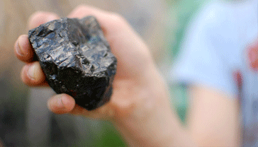 Coking Coal