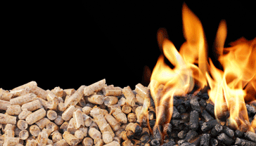 biomass